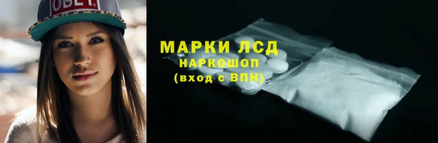 стафф Елабуга