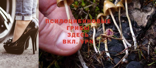 марки lsd Елизово