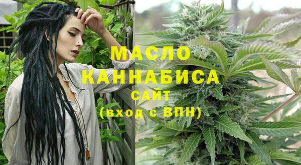 Альфа ПВП Ельня