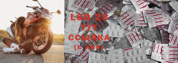 Альфа ПВП Ельня