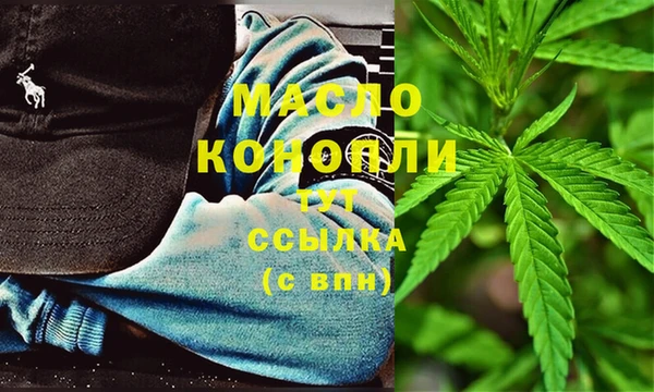 Альфа ПВП Ельня