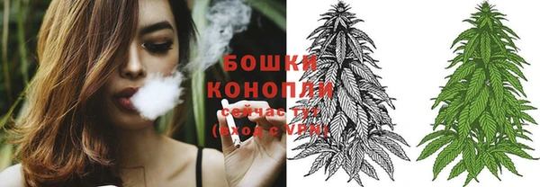 Альфа ПВП Ельня